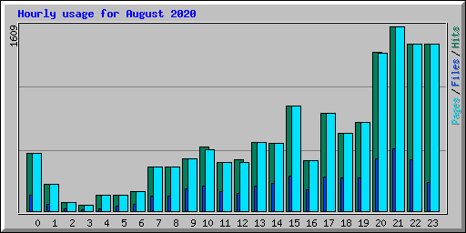 Hourly usage for August 2020