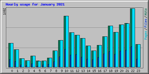 Hourly usage for January 2021